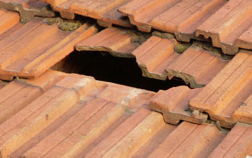 roof repair Nicholaston, Swansea